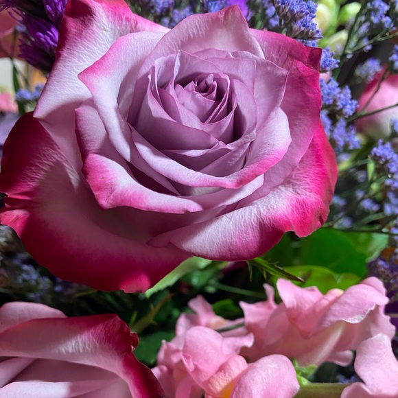 Meet your Posher, Markell - Picture 1 of 1